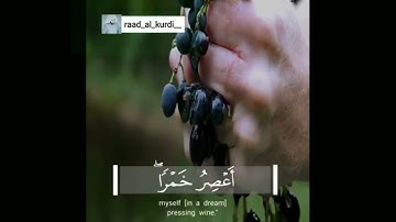  سورة يوسف ﴿ وَدَخَلَ مَعَهُ السِّجْنَ فَتَيَانِ ۖ قَالَ أَحَدُهُمَا إِنِّي أَرَانِي#raadalkurdy