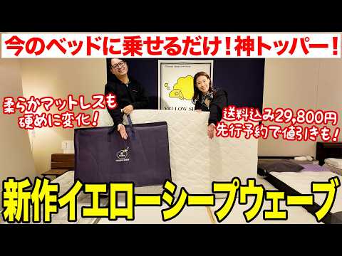 New Release] Airweave VS Yellow Sheep New Products! A Furniture