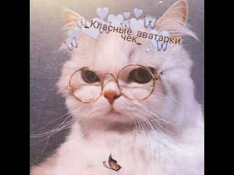 Класные авы - YouTube