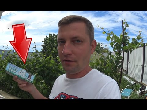 СОВРЕМЕННЫЕ ТЕХНОЛОГИИ против