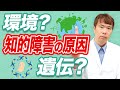 知的障害の子が生まれる真の原因をお話します【専門医が解説】