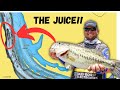 Most Anglers Don’t Understand THIS About Catching BASS On BLUFFS!! Ultimate Guide To Fishing Bluffs!