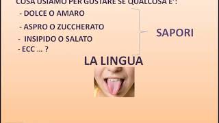 I CINQUE SENSI I CINQUE SENSI