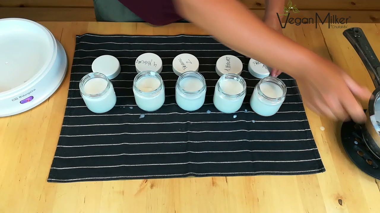 Comment faire des yaourts vegans de coco🥥, du soja, des noix de cajou... avec une yaourtière