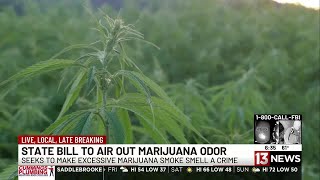 Proposed bill could make ‘excessive’ marijuana smoke a crime in Arizona