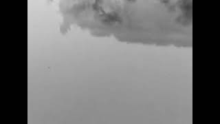 DOD 111887430