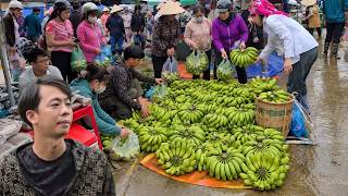 Download lagu Nhat and his younger sister sold a lot of bananas and enjoyed some food at the market.