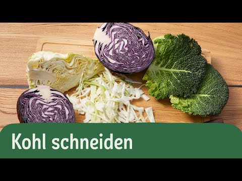 Video: Kohlschnitt - Tipps zum Schneiden von Kohl