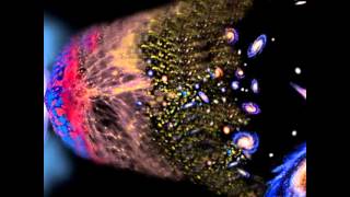 Duncan Trussell - Love Yourself So That The Universe May Be Blissful