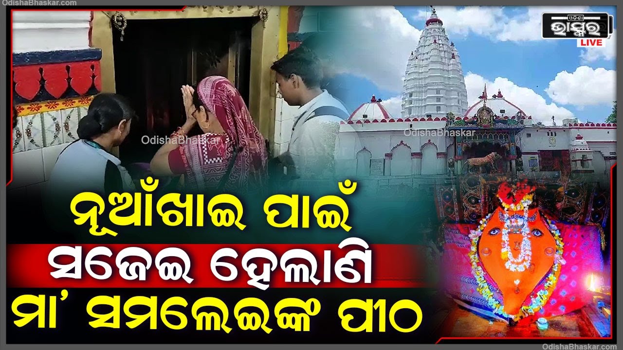ପଶ୍ଚିମ ଓଡିଶାର ଗଣପର୍ବ ନୂଆଖାଇ ପାଇଁ ମା' ସମଲେଇଙ୍କ ପୀଠରେ ଚଳିତ ବର୍ଷ କେଉଁ ସବୁ ପ୍ରସ୍ତୁତି ହୋଇଛି ଆସନ୍ତୁ ଜାଣିବା
