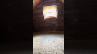 IMG 1537