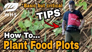 Critical Food Plot Planting Basics