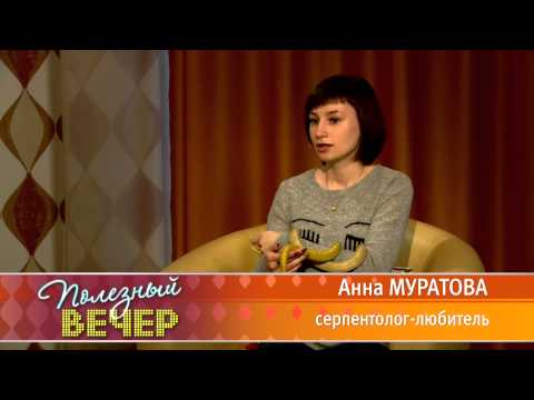 Как держать дома змею? Как держать дома змею?