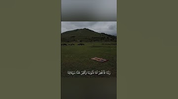 سورة آل عمران آية ١٩٣) القارئ ياسر الدوسري#صلو_على_النبي #القرآن_الكريم #قرآن #راحة_نفسية 