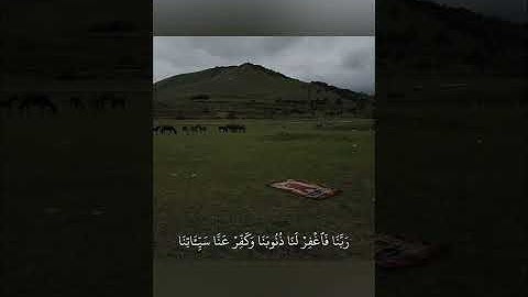 سورة آل عمران آية ١٩٣) القارئ ياسر الدوسري#صلو_على_النبي #القرآن_الكريم #قرآن #راحة_نفسية 