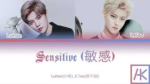 Luhan(鹿晗), Z.Tao(黄子韬) -  Sensitive (敏感) (Color-Coded Lyrics Kan/Pin/Eng)