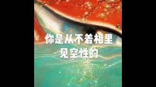 201503 你是从不着相里见空性的25095