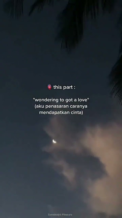 Somebody's Pleasure - Aziz Hedra (Lyrics)