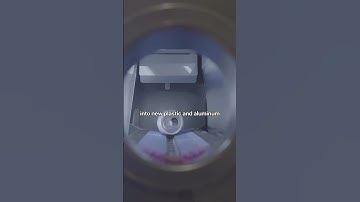 #DYK Coke Florida has used Reverse Vending Machines since 2019 to recycle 200k+ bottles & cans?