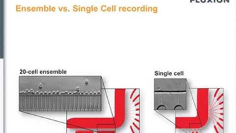 IonFlux Webinar: hERG Assay Development on the IonFlux System - using Giga-seal and Ensemble rec...