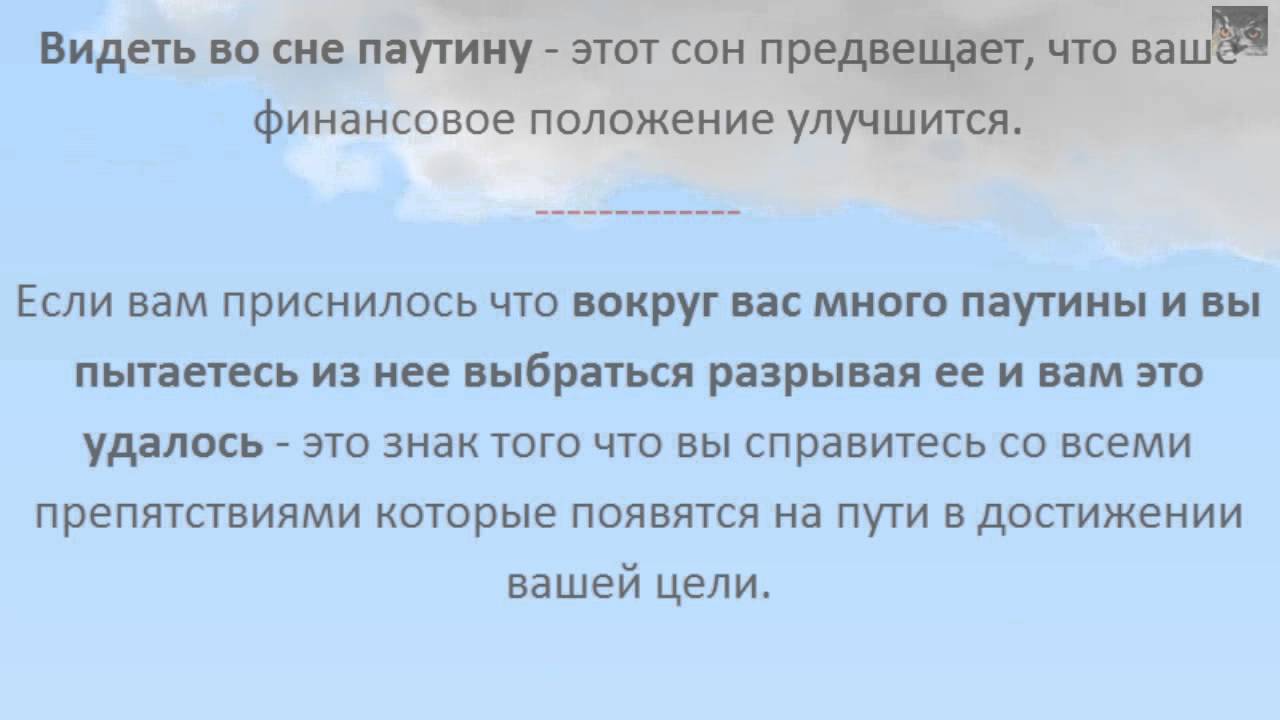 К чему снится паук Сонник