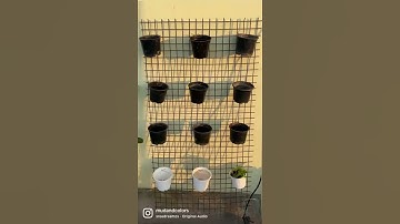 DIY vertical garden at absolute no cost 😀