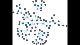 Embracing Complexity - Strategic Perspective for an age of turbulence