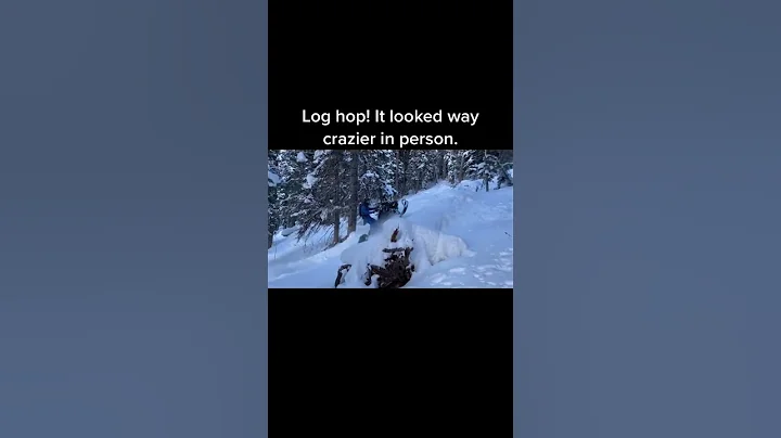 Snowmobiling looks better in person #shorts #skidoo #polaris #snowmobile #backcountry #braap #sled