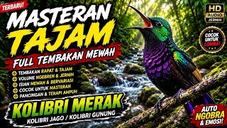 SUARA AIR ALAMI TERAPI BURUNG Kolibri MERAK, SOGON, KONIN, KOLIBRI NINJA Full TEMBAKAN