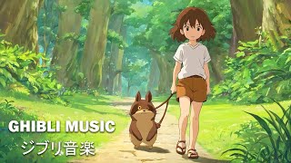 1 hour of Studio Ghibli | Relaxing Piano Music (relax, study, sleep)