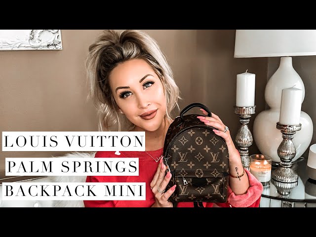 Review: Louis Vuitton Palm Springs Mini – Buy the goddamn bag