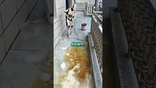 Whats The Dumbest Thing Youve Done Out Of Boredom?