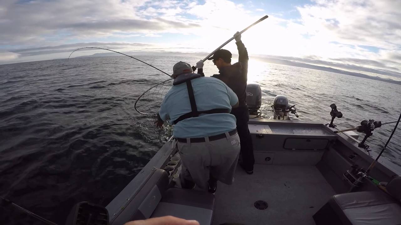 Salmon Fishing July 20, 2016 Very slow day outside of Garibaldi