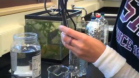 Vernier Dissolved Oxygen Probe -Part 1