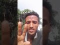 ጎጃሜዋ ናይይይይይይይ ጎጃሜዋ ናይይይይይይይ