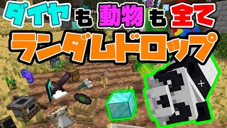 【マイクラ】全てのアイテムがランダムドロップする恐怖のMOD導入してエンドラ討伐！？