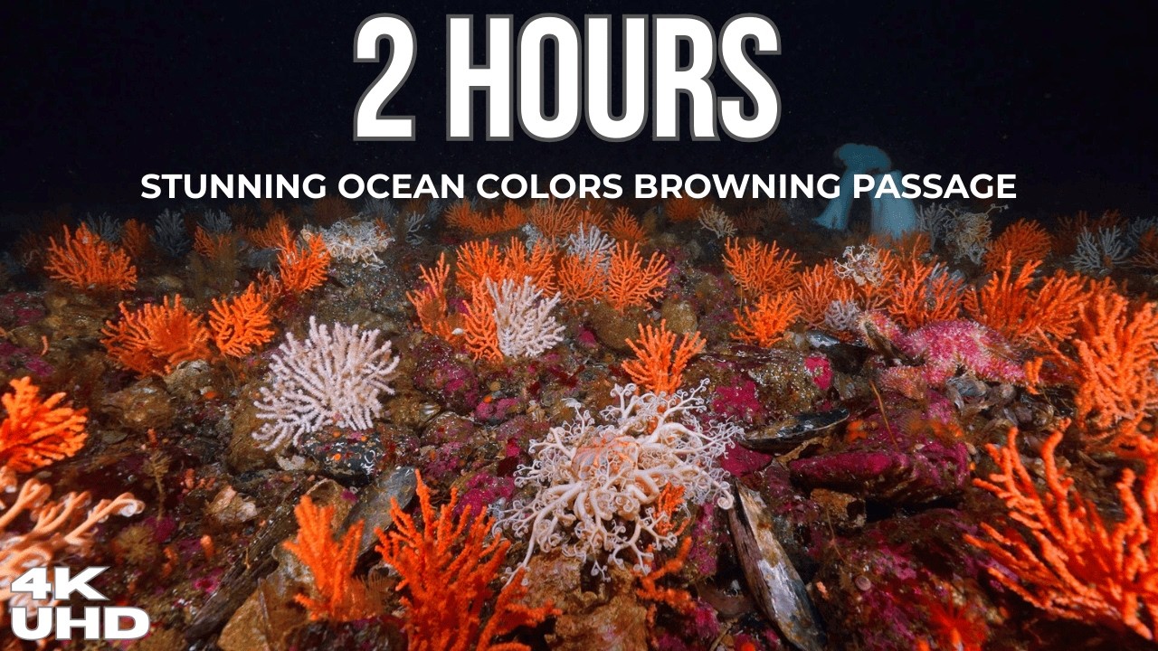 youtube-video-thumbnail