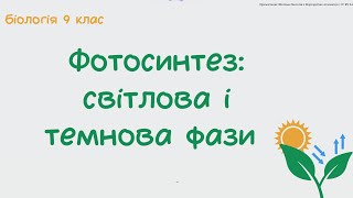картинка: Біологія 9 клас Фотосинтез світлова і темнова фази