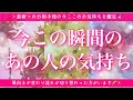 【恋愛💖】今この瞬間のあの人のあなた様へのお気持ち🔮🦋オラクルカードとタロットカードの併せ読みでズバリ鑑定します✨
