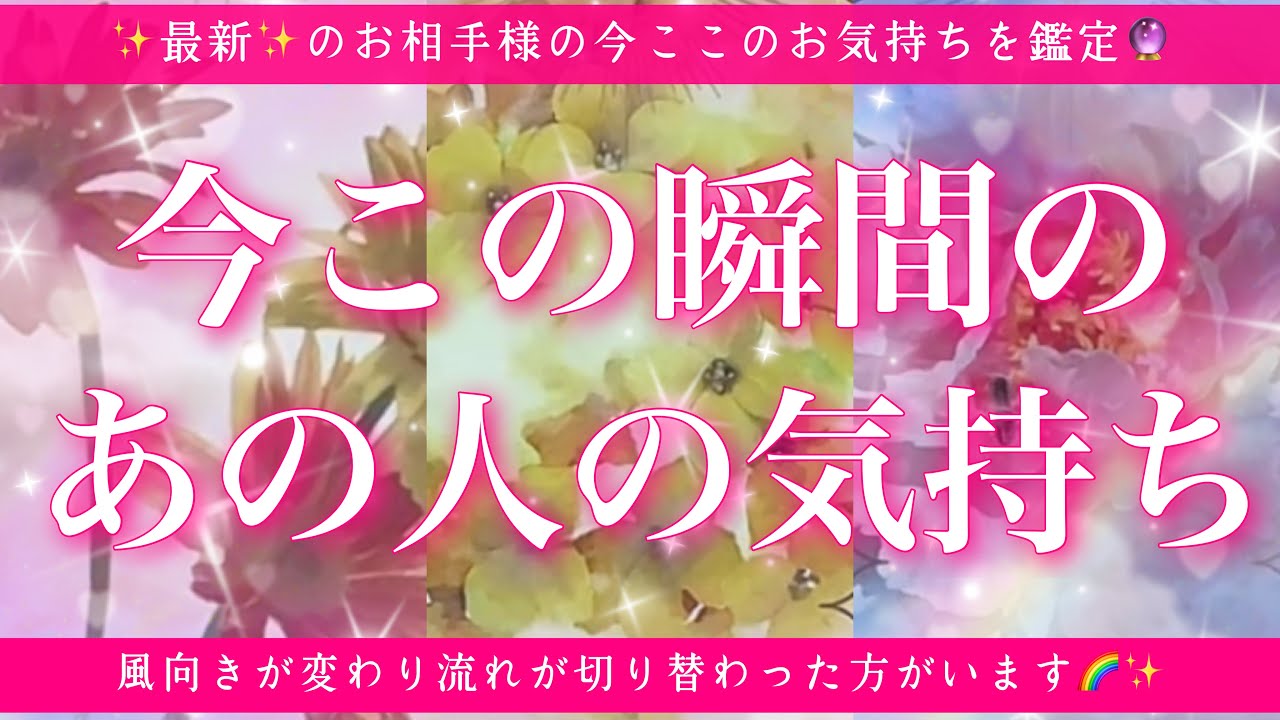 【恋愛💖】今この瞬間のあの人のあなた様へのお気持ち🔮🦋オラクルカードとタロットカードの併せ読みでズバリ鑑定します✨