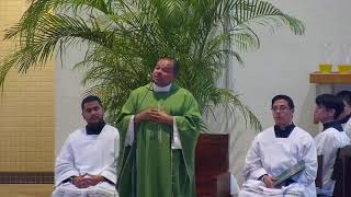 XVI Domingo del Tiempo Ordinario