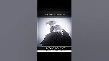 ربعي وما اسامحم على صار احاسبهم حساب ع جرالي 𓆩𝑨𝑴𝑬𝑹𓆪 