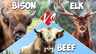 The Ultimate Tomahawk Steaks Comparison (Beef vs Bison vs Elk) + GIVEAWAY - FT. The Honest Bison by Salty Tales 10,080 views 2 years ago 8 minutes, 56 seconds