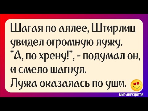 Анекдоты Про Штирлица И Мюллера - Короткие И Смешные