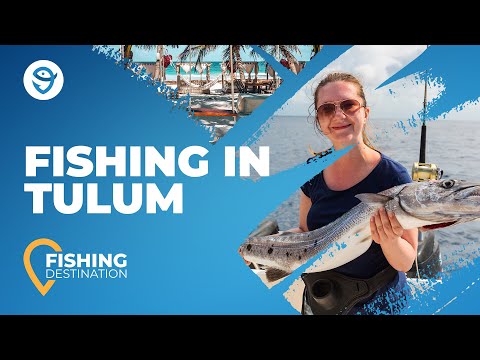 Fishing in Tulum: All You Need to Know