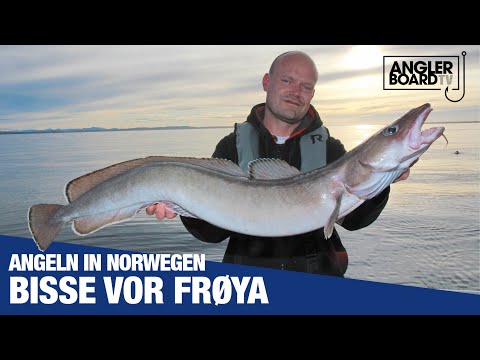 Video: Angeln In Astrachan: Ratschläge Von Erfahrenen Fischern