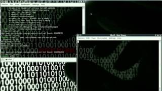 Network / Web Security Auditing Backtrack Linux
