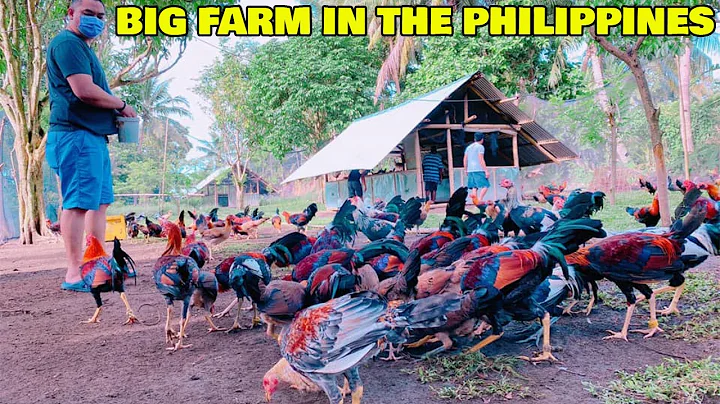 BEAUTIFUL VIEW - Visit BIG FARM Dennis de Asis
