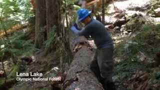 Backcountry Trail Work