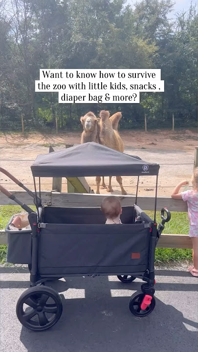 Create unforgettable memories,safely and stylishly Side-Unzip Wagon Stroller